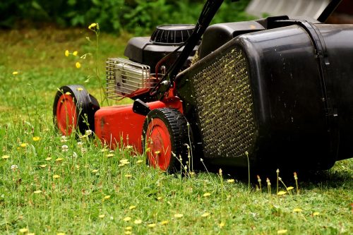 Top 5 beste elektrische grasmaaiers